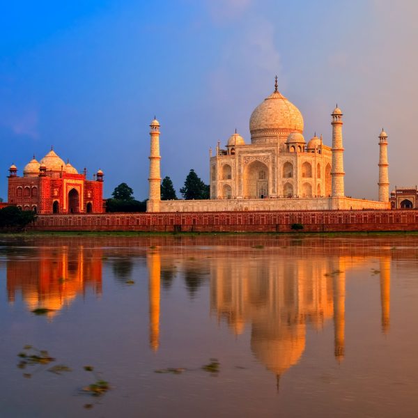 Untitled design - 2023-07-19T141436.086